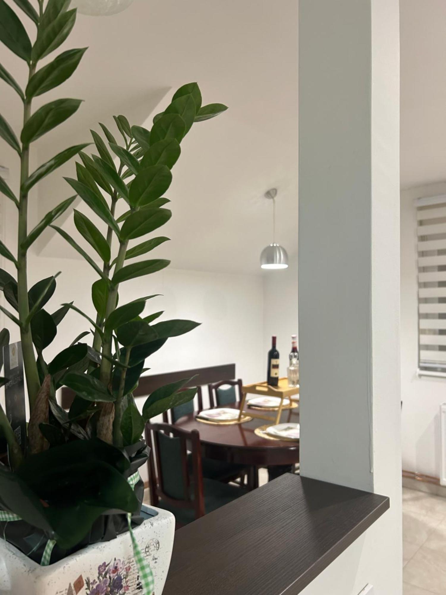 Apartman Diamond Lux Surcin Экстерьер фото