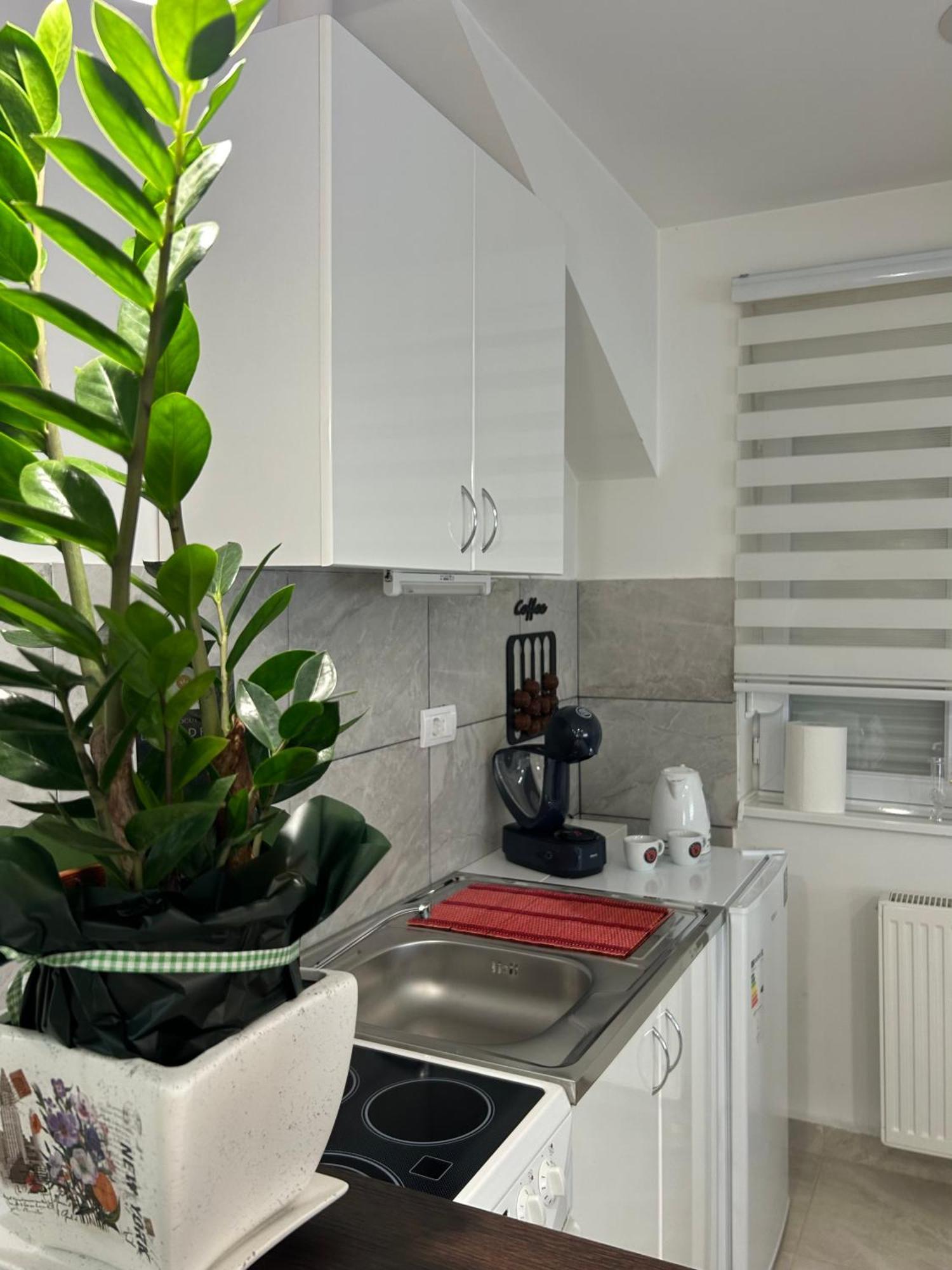 Apartman Diamond Lux Surcin Экстерьер фото